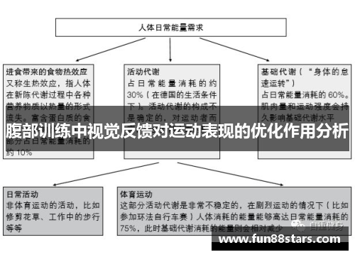 腹部训练中视觉反馈对运动表现的优化作用分析